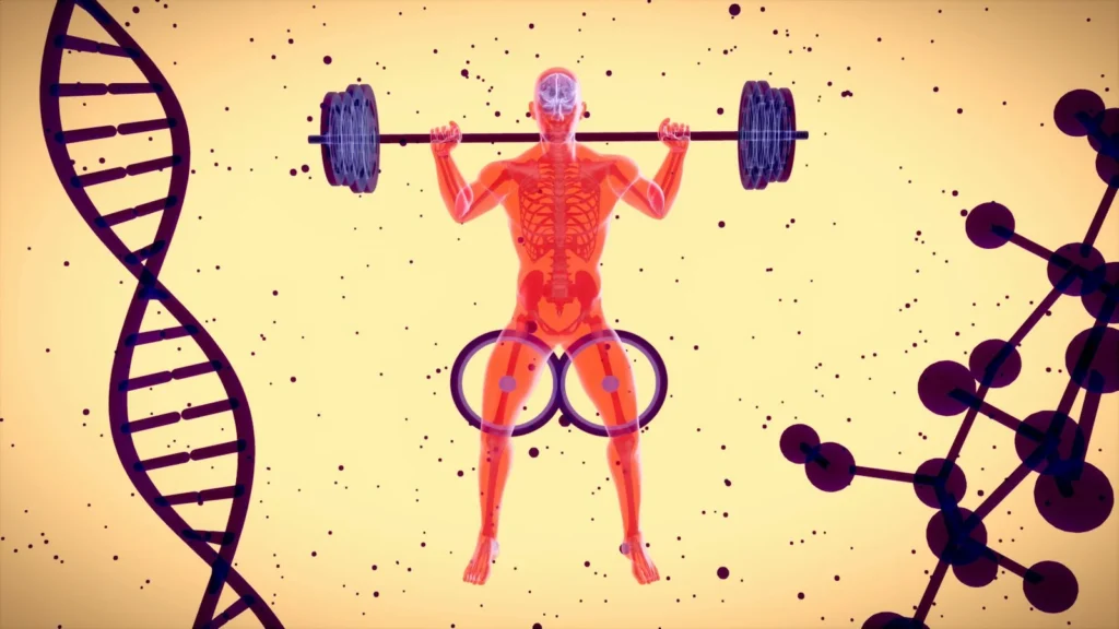 Illustration of a weightlifter's muscles with DNA and molecule graphics, comparing peptides and steroids